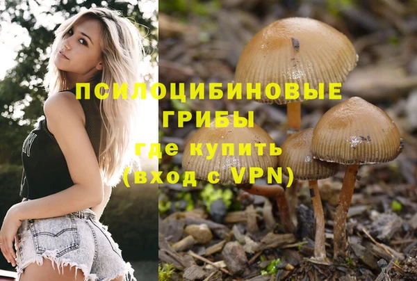 а пвп мука Арсеньев