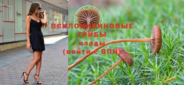 соль курить ск Армянск