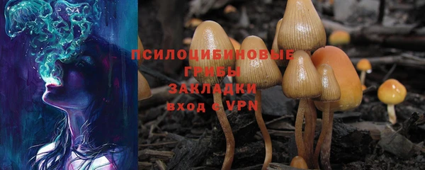 а пвп мука Арсеньев